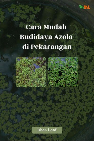 Cara Mudah Budidaya Azola di Pekarangan